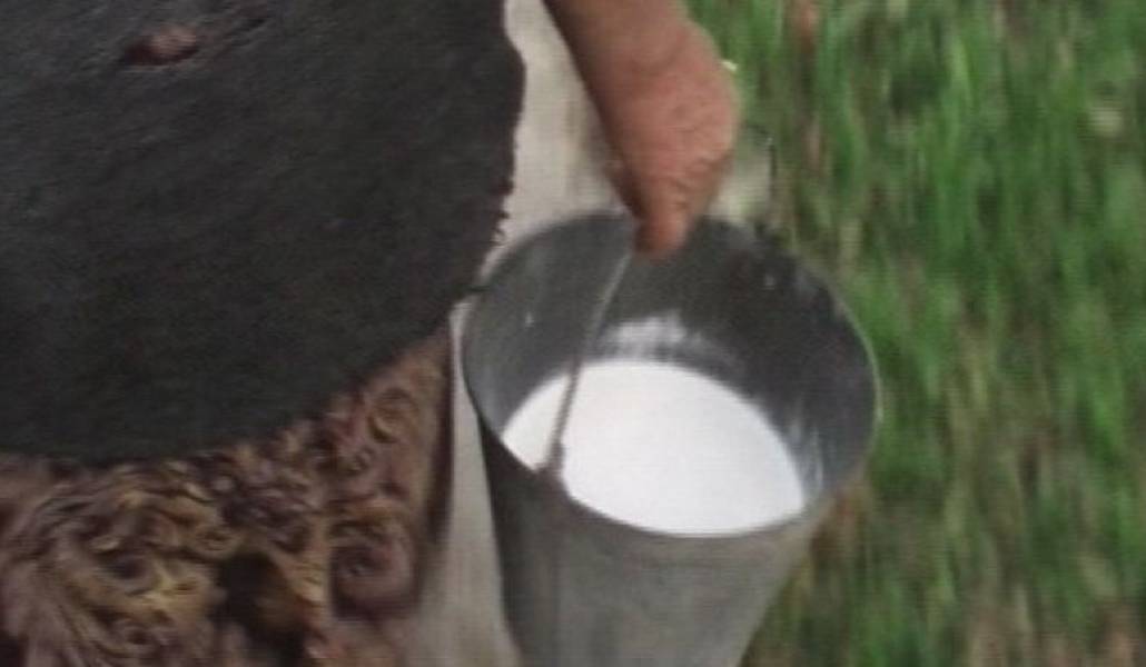 14696ba03f5235e015fd3aef3fc648f0