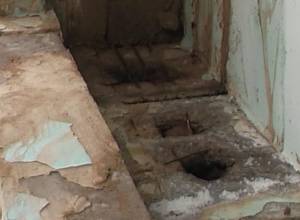 Զգույշ Մշակույթի պալատում