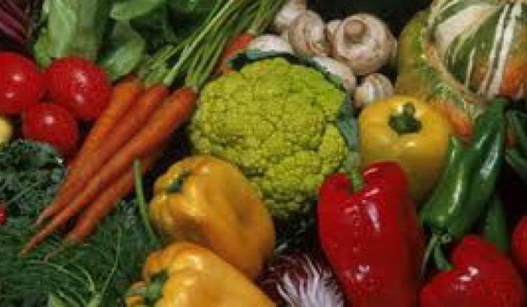 6a3cc7c05daa08d51e9773e90a50e08a