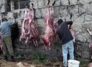 36 ոչխար դարձել է գայլի բաժին