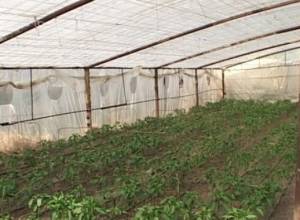 Երկնքի հետ պայման կապել հնարավոր չի