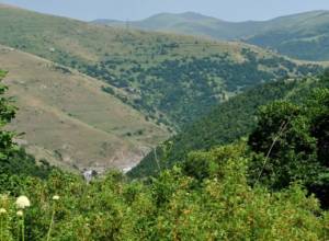 Աղավնաձորցիները փակել են ճանապարհը