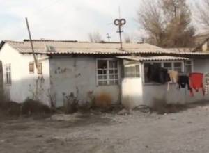 Ծնողազուրկ երեխաները՝ վարձով տնակում