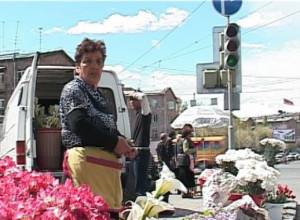 Ծաղկավաճառները տեղի կռիվ էին  անում