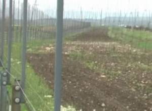 Մեղրաշատում արտոնություններից չեն օգտվել