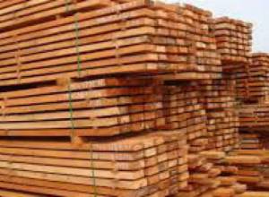 Էլ ապօրինի որս,  էլ փայտանյութի տեղափոխում