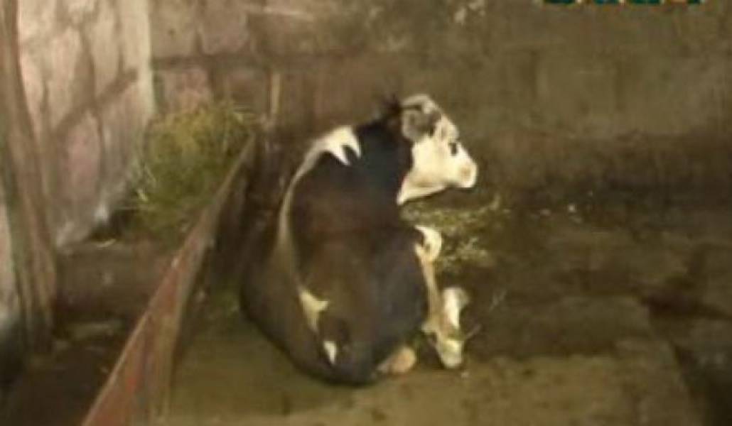 a9972bfb0782189bea679f9517142fe3