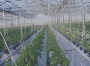 Նոր ջերմոցային տնտեսություն՝ Ջրվեժում