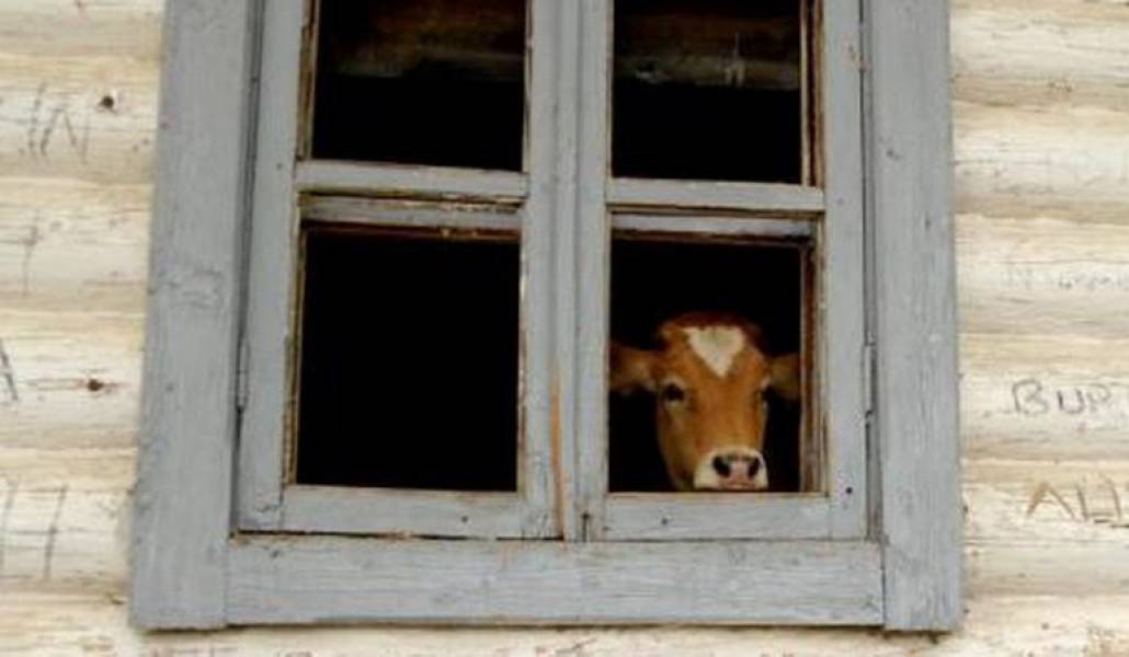 d67055896a1760ed90c95170f39242d1