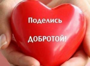 Դուք այսօր բարի գործ արե՞լ եք
