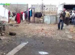 Վառելափայտի հայթայթման ակցիա