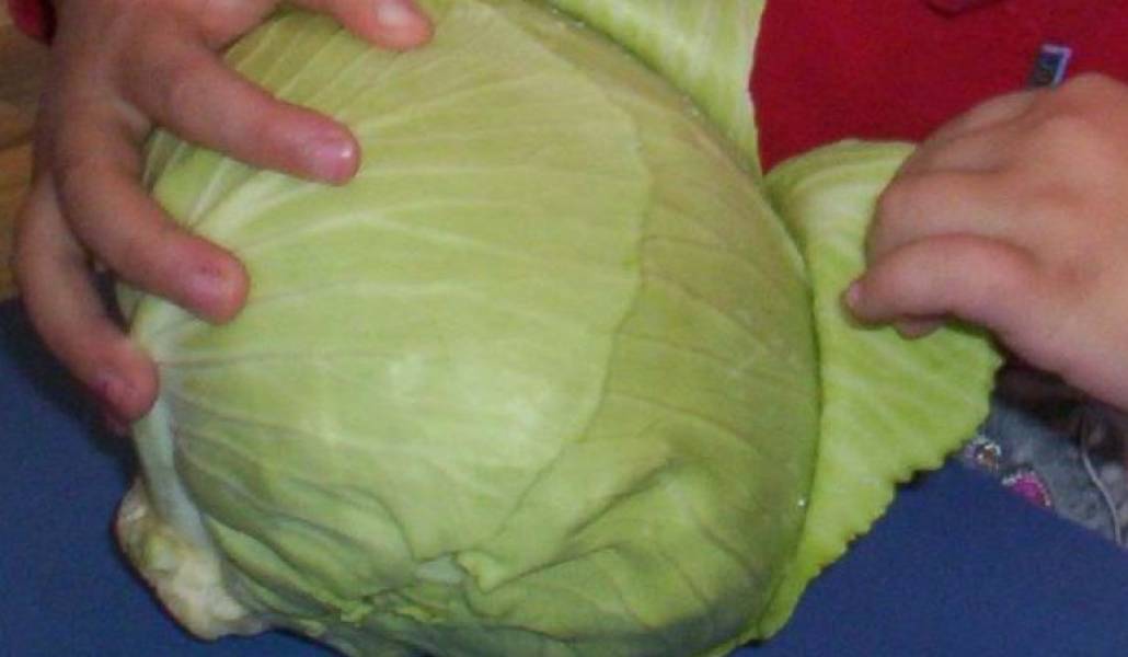 fe030417dacf5b3cb42d2d8357bfbd04