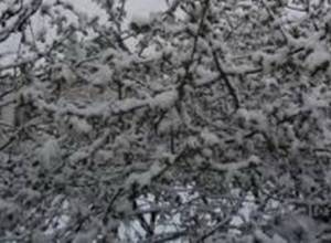 Գյուղացին վատ կանխատեսում է անում   