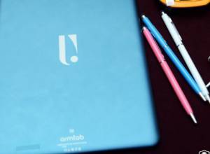 Վարչապետը խոսեց հեղափոխությունից