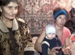 Голодные дети и коты под одной крышей