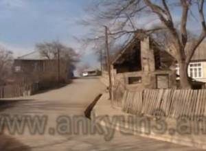 Migration rate remains alarming