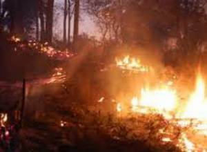 Сгорело около 18 тысяч км 