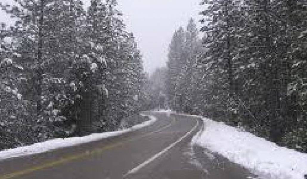 1ad813633379932965c601da66cafe2e