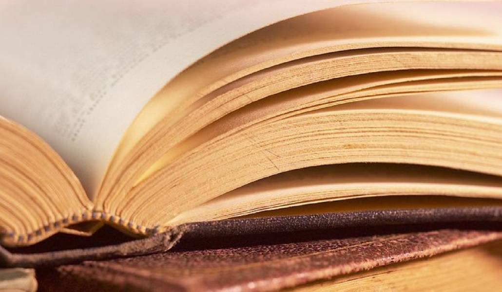 74e0e833e849a11238c28b01ee4167a7