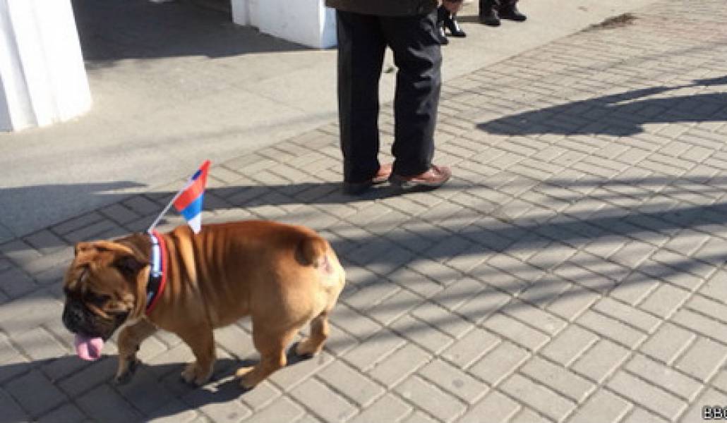 140319080640_sevastopol_bulldog_flag_464x261_bbc