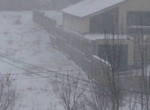 Ցտեսություն, գարուն