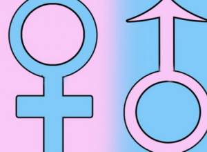 Одобрены «гендерные» программы