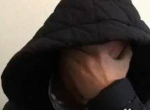 Кража также из родной школы (видеоматериал)