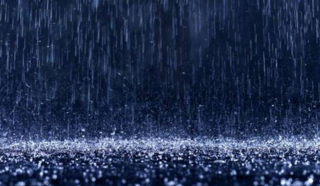 63c05859189e74a69818cb629e25ee11