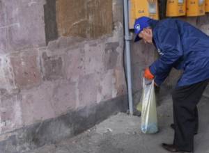 Պայքար կրծողների դեմ շքամուտքերում