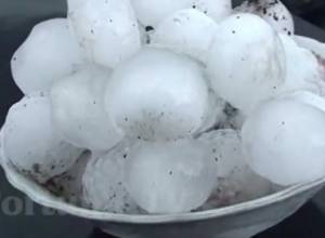 Կարկուտը հողին է հավասարեցրել գյուղացու աշխատանքը. Ֆորտունա հ/ը