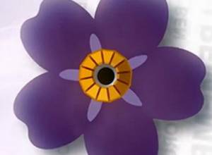 Ruben Jaghinyan on the symbol of forget-me-not