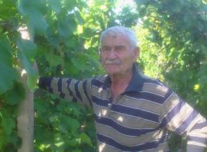 «Միլդիու» և «օիդիում» հիվանդությունները սպառնում են խաղողի բերքին