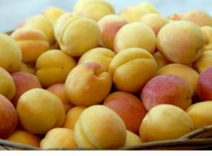 49 tons of apricot exported