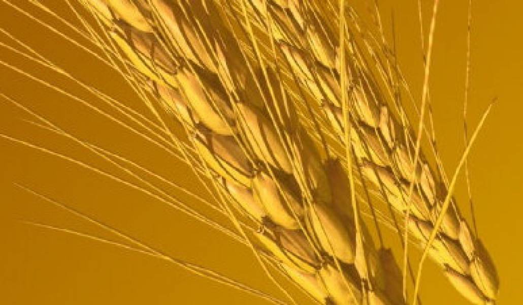 b2ae135ab08c185b3c8a11f3ebd835bf