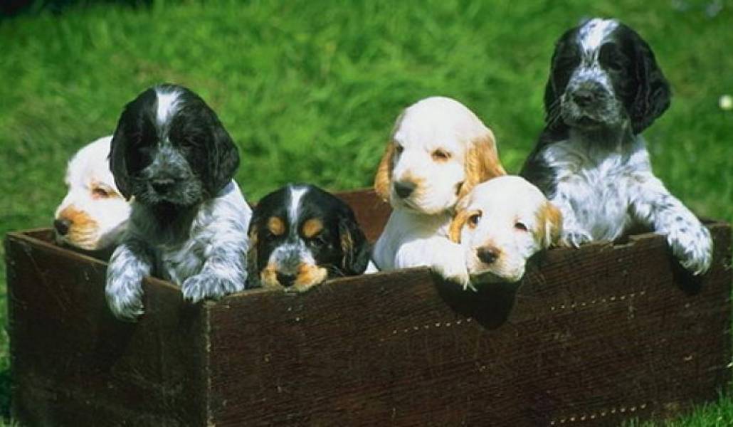 9cc6cec2176a5922013598d3a04df674