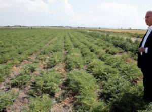 Գյուղնախարարն այցելել է Երկրագործության գիտական կենտրոն
