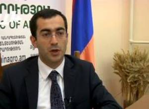 Հայաստանը կարող է միանալ Ռուսաստանի սանկցիաներին