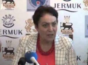 Որեւէ բան չպետք է փոխվի ի վնաս Արցախի. Լարիսա Ալավերդյան