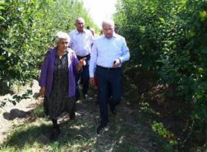 Թակարդի հարցով դիմել են նախարարին