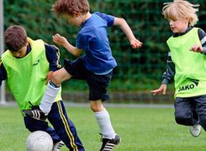 Спорт в России станет бесплатным