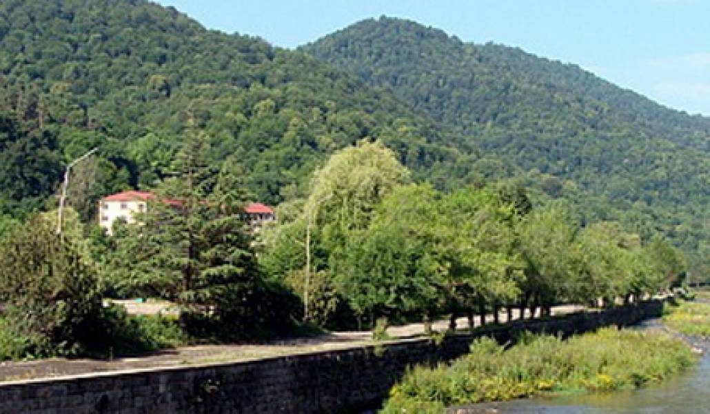 e1dbe44f9a6099ecf796df1ed5294ab8