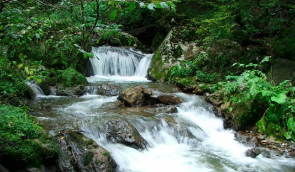 dilijan