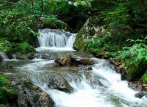 Նոր բացահայտումներ՝ «Դիլիջան» ազգային պարկում