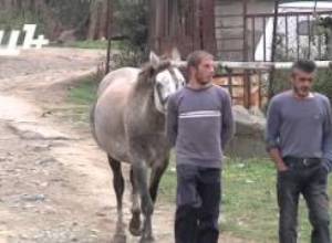 «Կարճ ասած՝ գոյատեւում ենք»