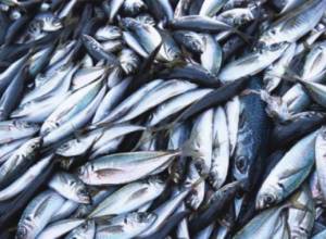 «Տնտեսվարողների հարցում լավ կլիներ՝ հետեւեինք թուրքերի օրինակին»