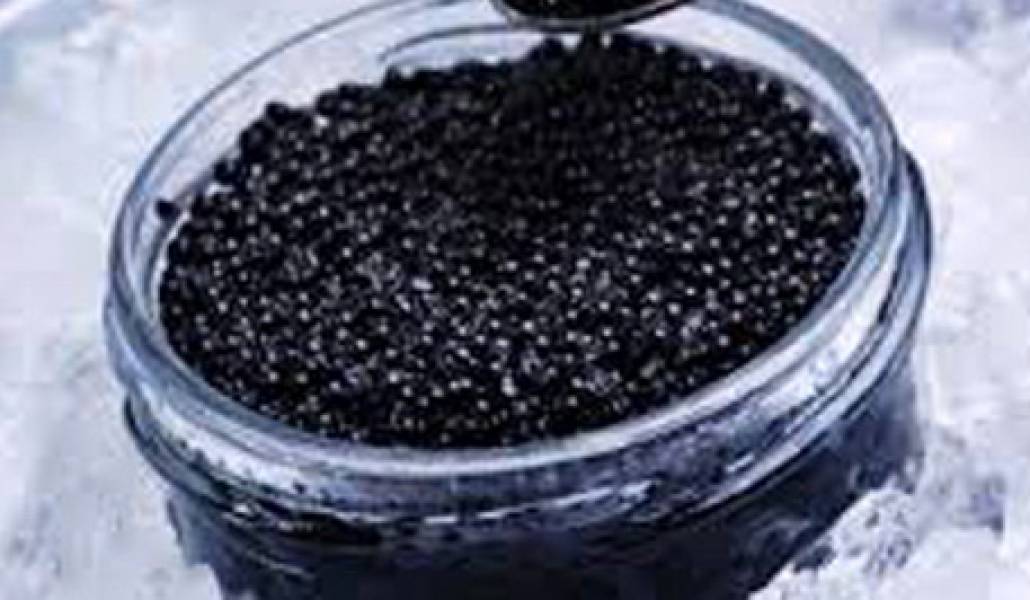 kaviar