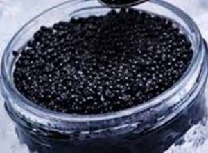 Artsakh to produce black caviar 