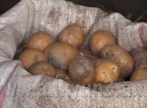Կարտոֆիլի բարձր գինն է գյուղացու մխիթարանքը   