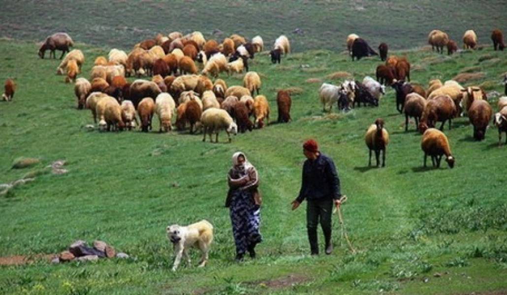 bfa0f482f566db2e05670fb41c664c6e