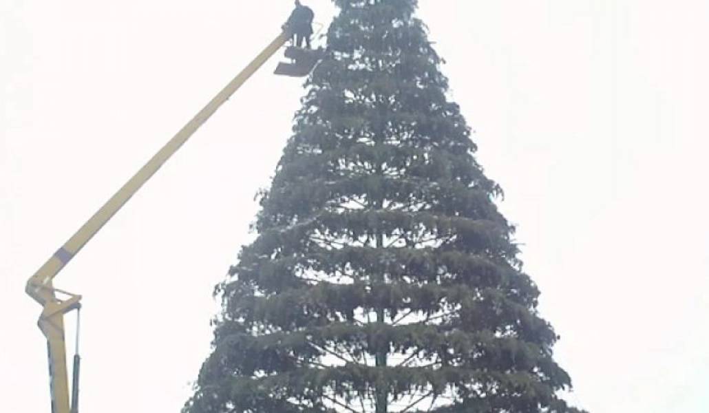 0fdd8b6fdb25d66199dcd5e848ad673d